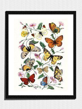 Art Print, Colorful Butterflies Sketch